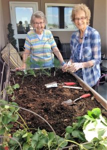 Two senior women with short grey hair standing behind a raised garden bed.