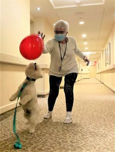 Dog and senior woman playing with red balloon; physical health leads to wellness