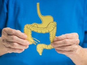 Blue t-shirt and aging hands holding a yellow GI Tract cut-out
