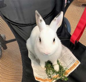 302192390 2343105105865084 298896143575234564 n