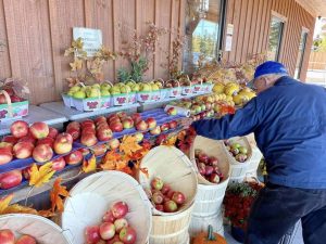 306703787 525689562893964 4643837828931432032 n