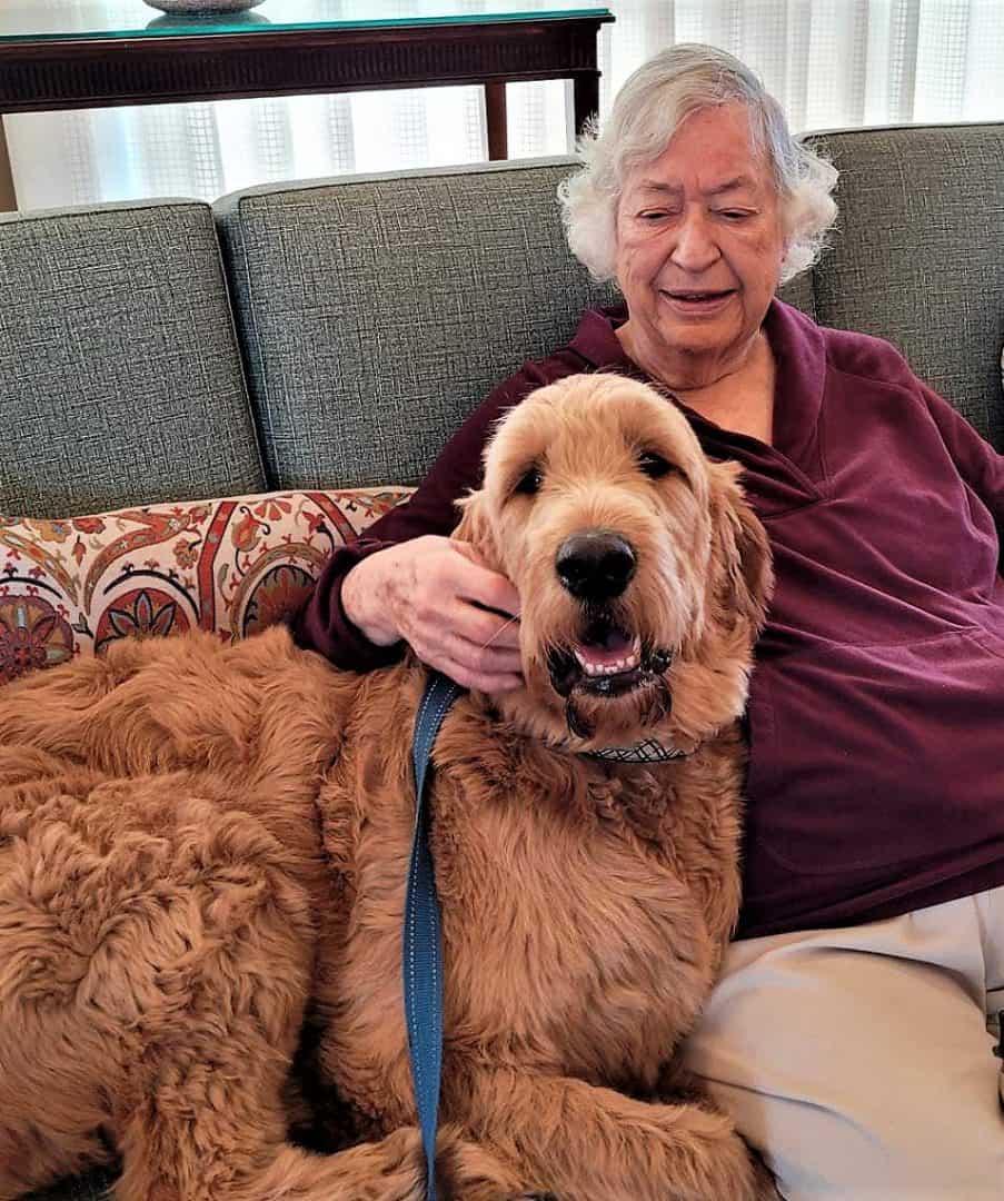 Featured image for “The Many Benefits Of Pet Therapy”