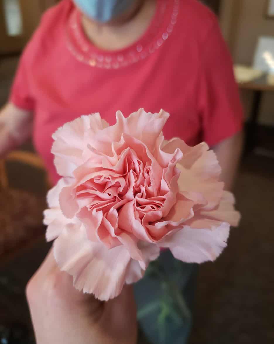 Featured image for “Spring into Happiness”