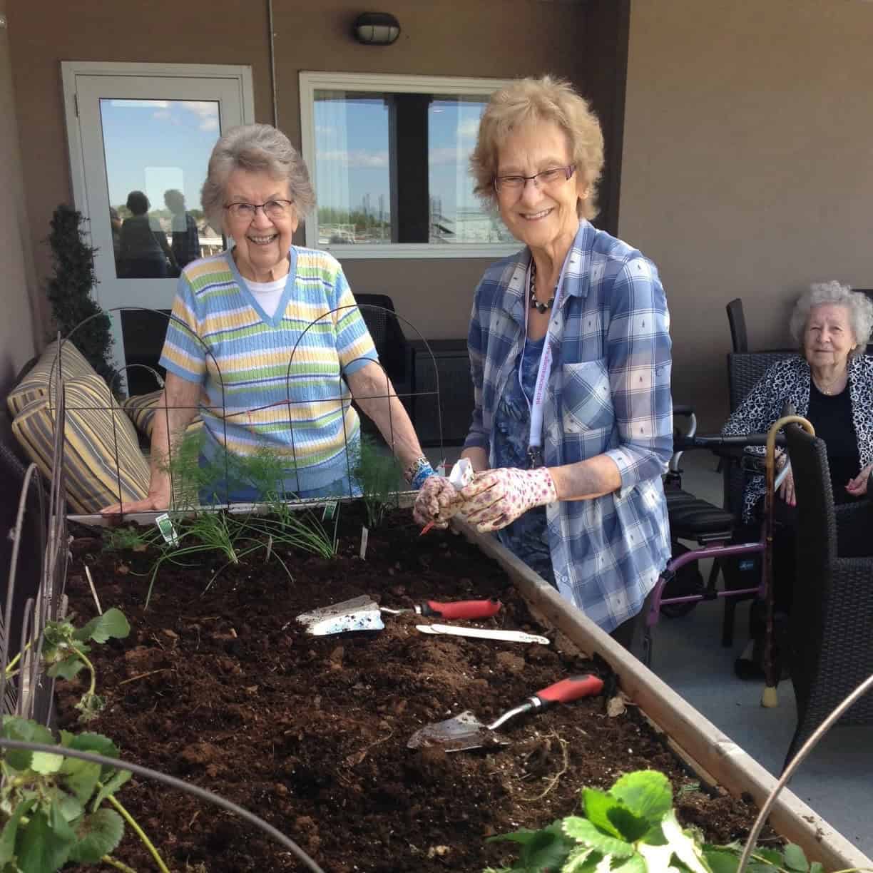 Featured image for “The Joys and Challenges of Senior Gardening”