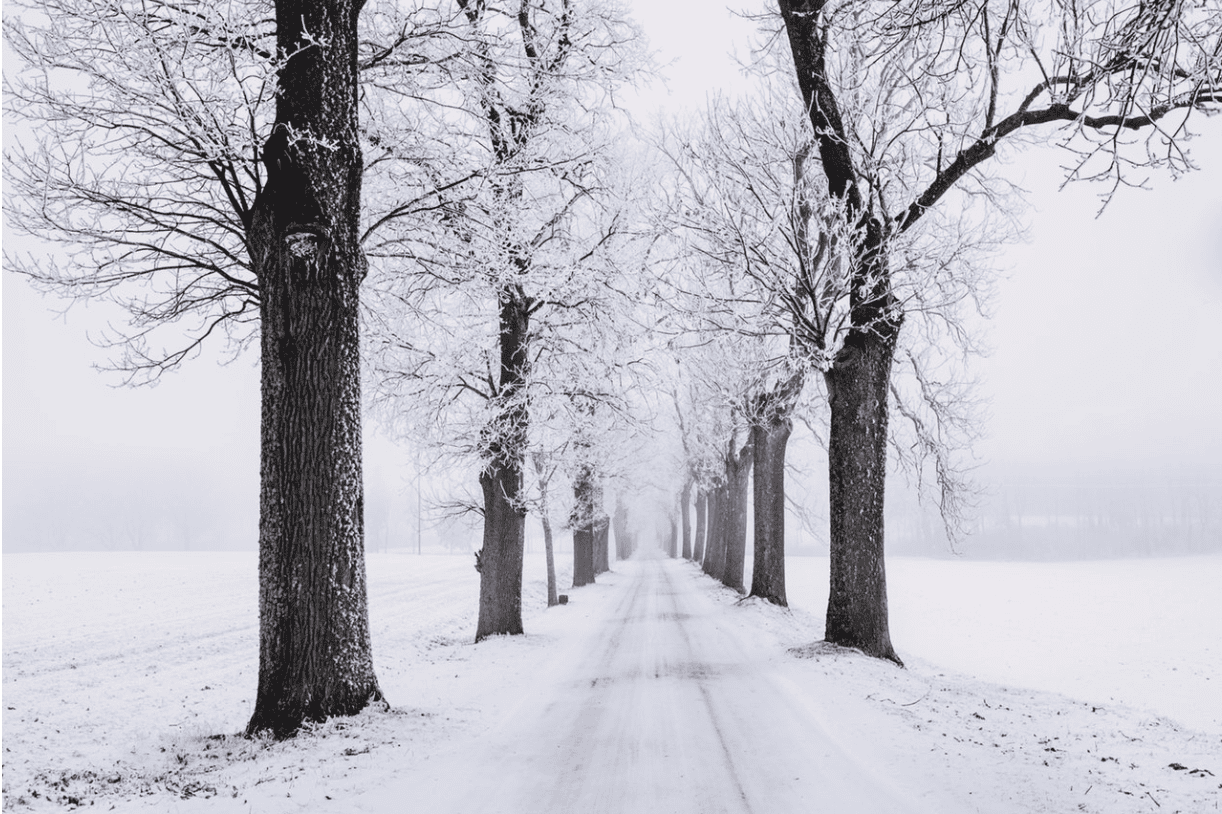 Featured image for “Indoor Activities that Will Keep You Going through Winter”