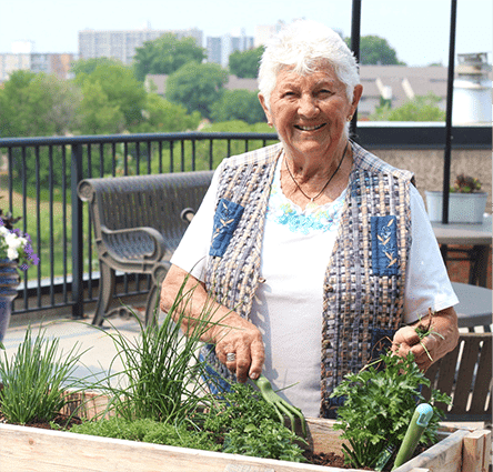 Featured image for “Gardening Boosts Wellbeing for Older Adults”